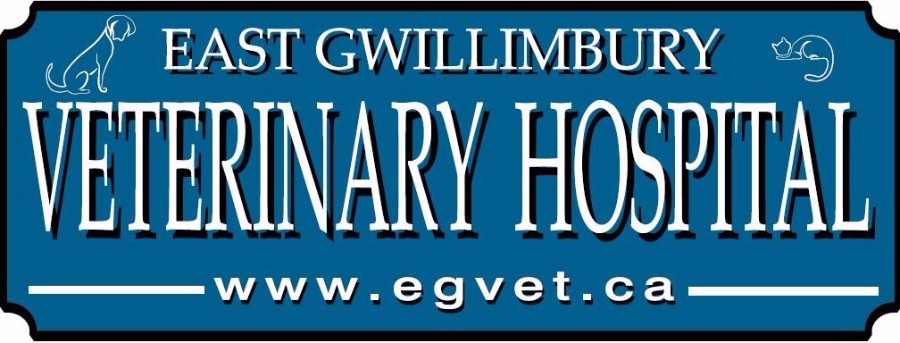 East Gwillimbury Veterinary Hospital